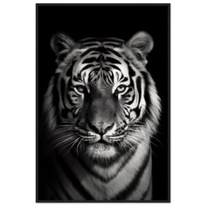 Póster tigre blanco y negro de calidad premium - Artemis Studio