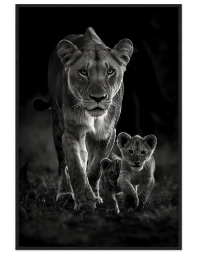 2e3427ba-22d3-4860-a8fd-fe833b03a010