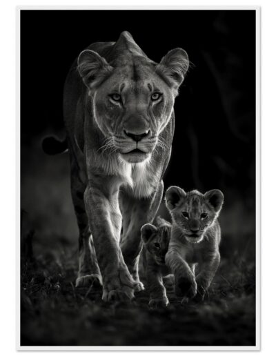 4fadd41f-8df7-407a-8073-a35ea1680fc4