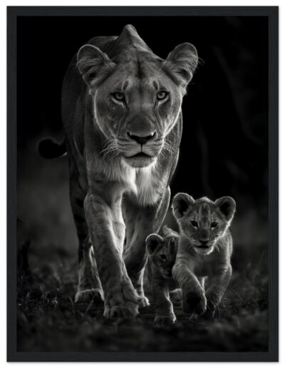 51bba34b-4704-4092-b563-edff72633a79