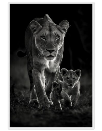 539f760c-6528-4914-a9e0-6d2d04c0128f