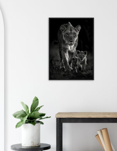 7e3e5f5a-5cb2-4d74-8cfb-46a50085ad47