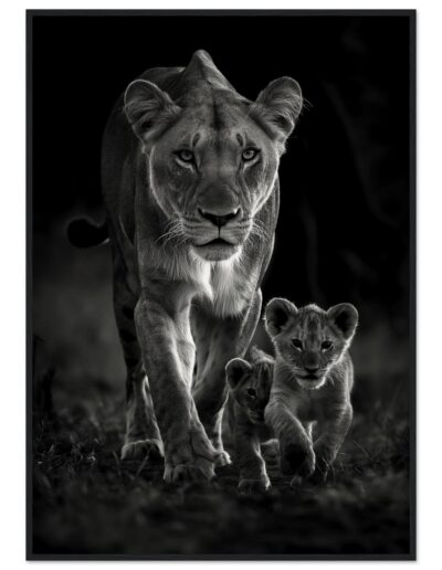 9601a55b-11fc-4d36-ad79-a614e8f5e6b3