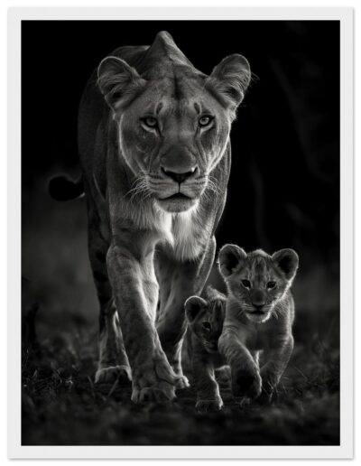 97314d28-807d-4e75-9502-d8b7f1ec016c