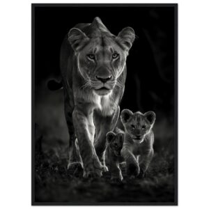 c2f62e8f-bece-41a2-b9be-8aacc4cc4a8e