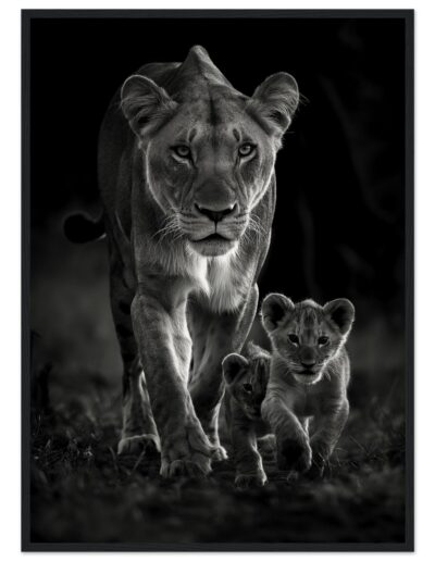 dd083fc4-7681-4289-839b-4df96c55535e