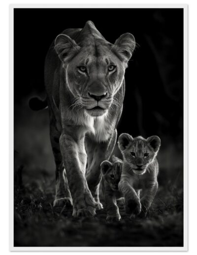 e0d33ab4-e22f-425a-b20b-374cee965ea2