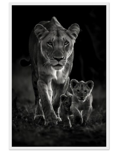 e3cc9bbf-bfe0-4388-bfd0-1fc245260efe